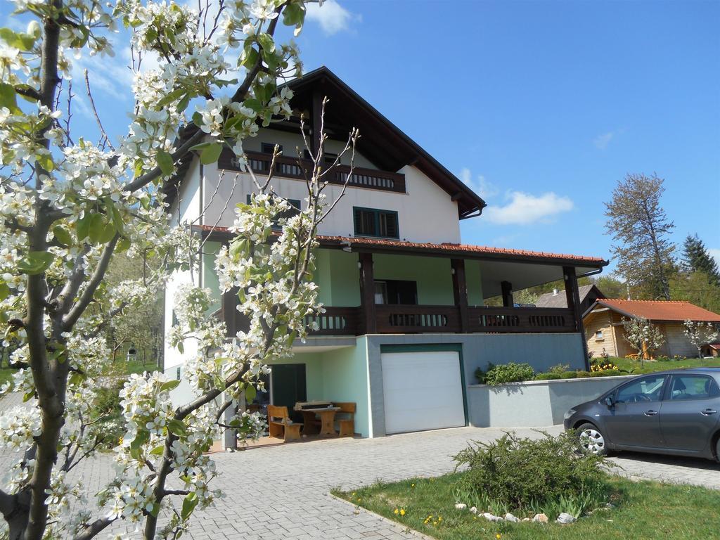 Apartments And Room Robert كورينيتسا المظهر الخارجي الصورة